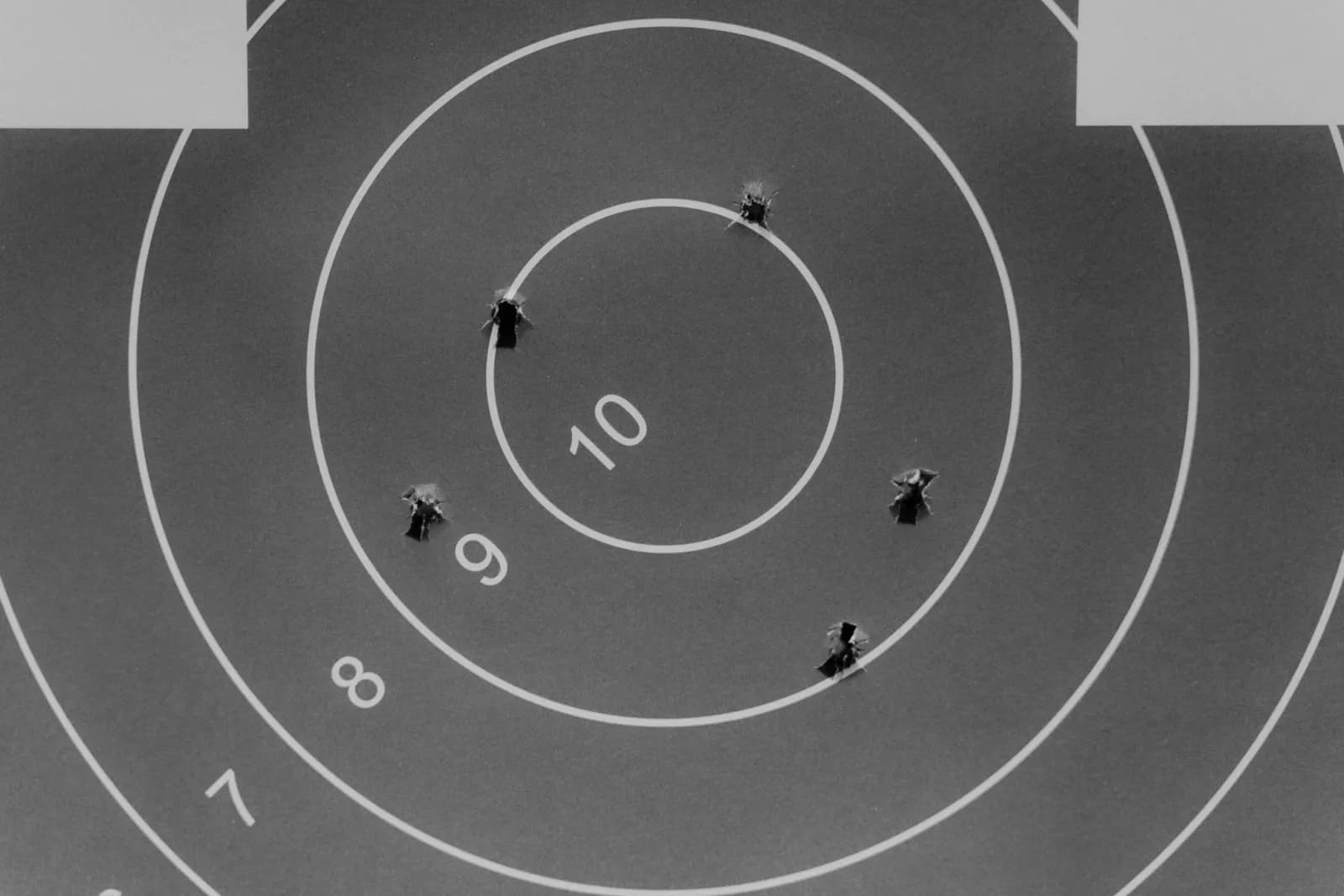 Cibles de tir sportif : comment compter les points